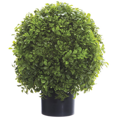 16'' Faux Boxwood Topiary in Pot