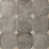 Gray/Beige