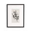 Sprig I by Coup D'esprit-1770249133