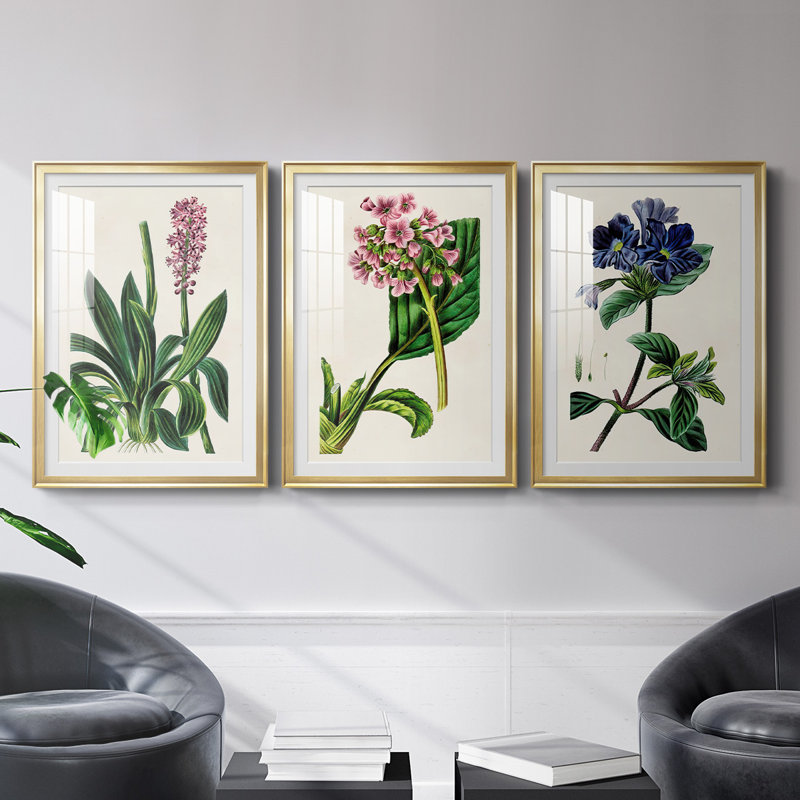 Reproduction encadrée antique de qualité florale II - prête à être accrochée, Cadre doré, H 42,5 po x l 61 po
