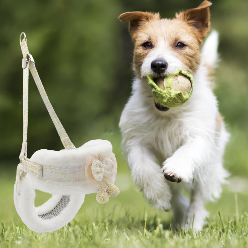 Dog Harness And Leash For Walking Beige M, Beige, Medium