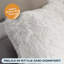 Beutler Novelty Backrest Pillow Insert-2048128650