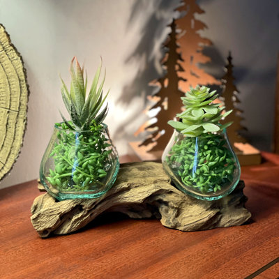 Bol double en verre soufflé à la main, style côtier, et centre de table en bois flotté naturel, 26,7 cm de large