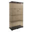 Vitrine lumineuse en verre à deux portes avec 4 tablettes, parfaite pour mettre en valeur des objets de collection et rehausser le décor de la pièce