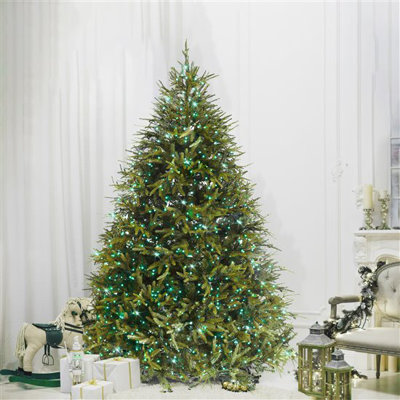 Lighted Christmas Tree