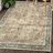 Myshawn Dua Distressed Border Brown Gray Beige Machine Washable Area Rug-1771649803