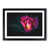 Black Framed selected
