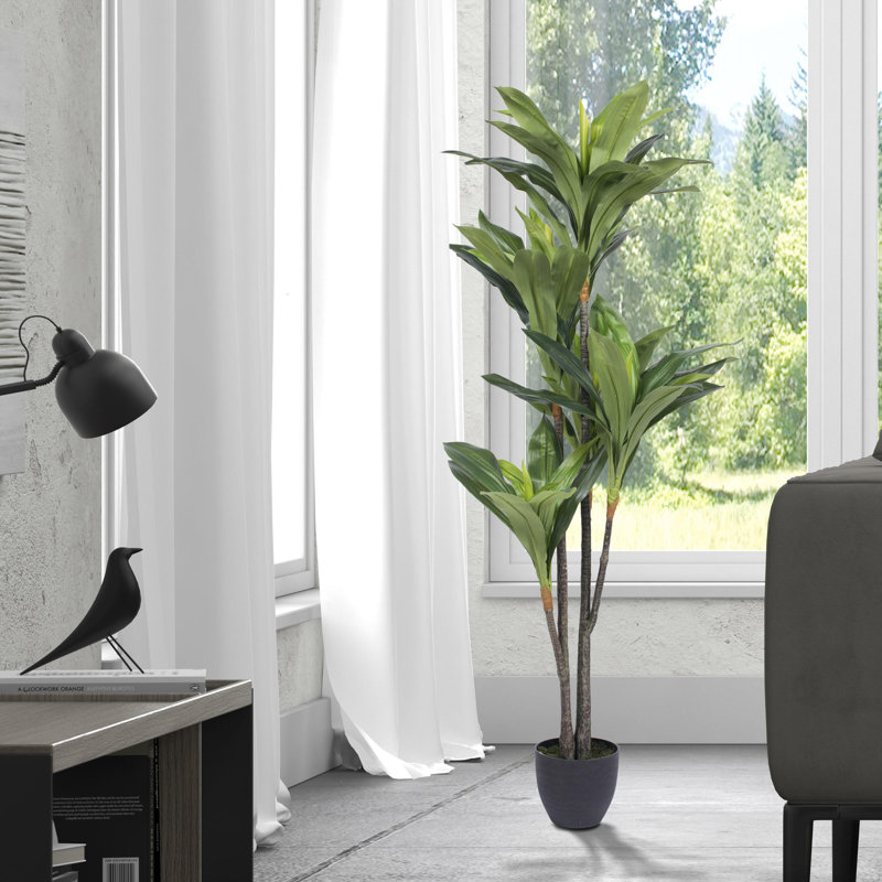 Elegant Silk Touch 63" Dracaena Outdoor Potted Floor Plant