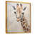 Gold Floater Framed