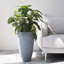 Pot à fleurs rond avec plateau Nova l 12 po-777671177-777671179-671843974