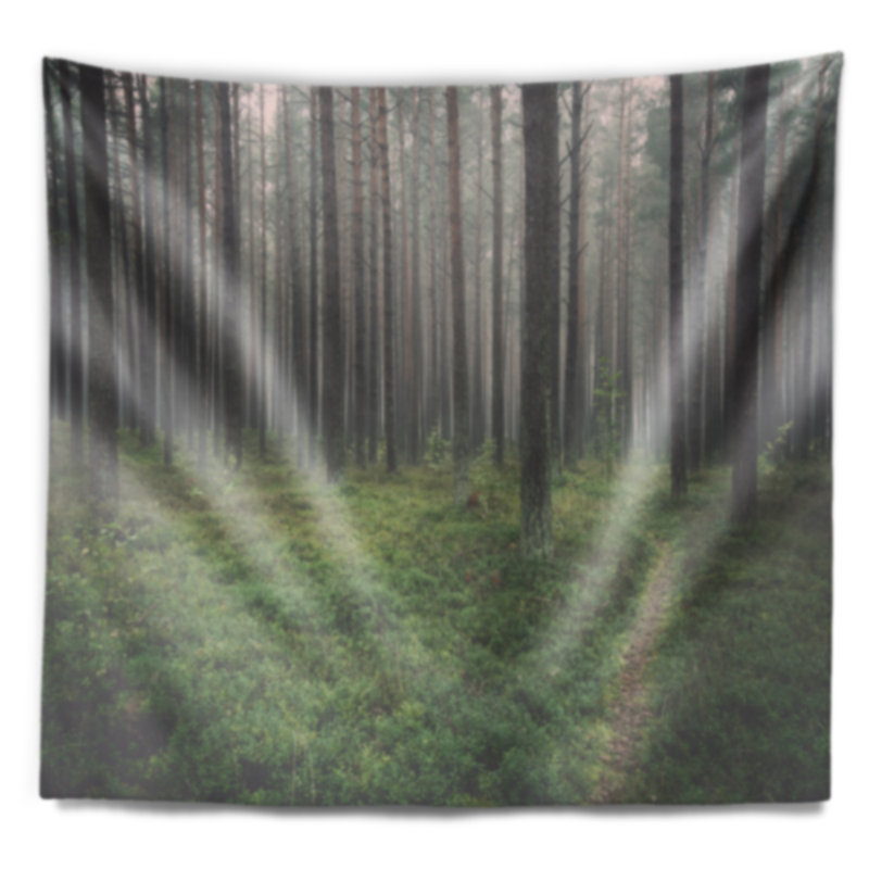 Tapisserie «Foggy Dense Forest», H 50 po x l 60 po