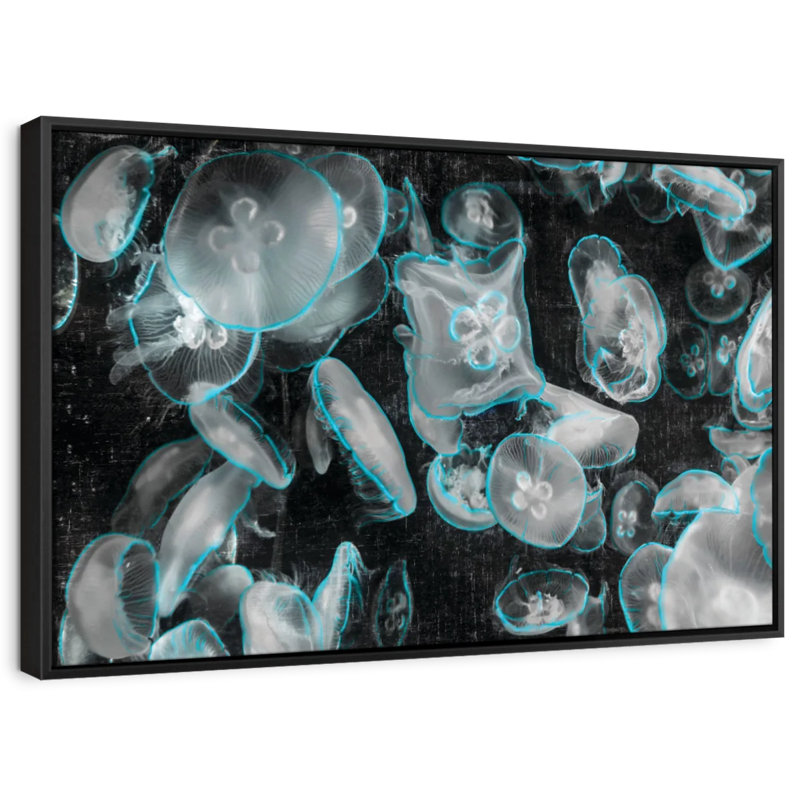 «Jellyfish Pop Wall Art», H 9 po x l 13 po