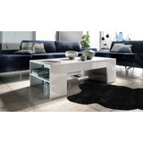 Alldredge Mazzone Coffee Table with Storage Space