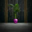 Handmade Planter-52455015