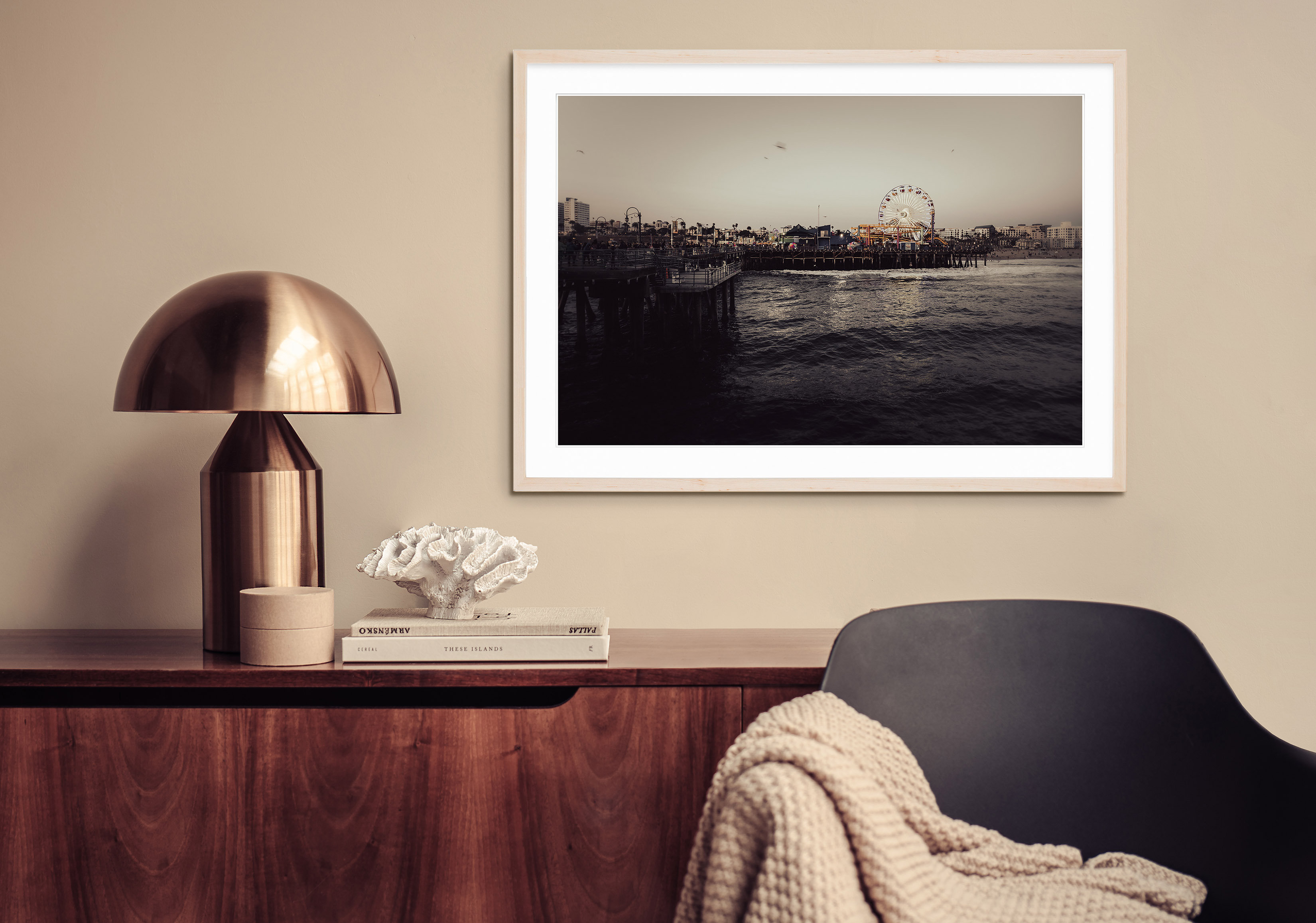 Robin Riley Photography Santa Monica Pier | Wayfair