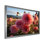 Dahlia Field Sunrise II - impressions murales florales