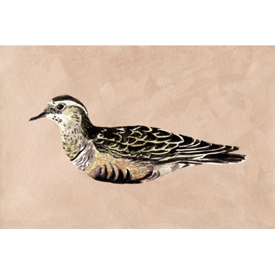 Feathered Friend III by Melissa Wang - Wrapped Canvas Painting