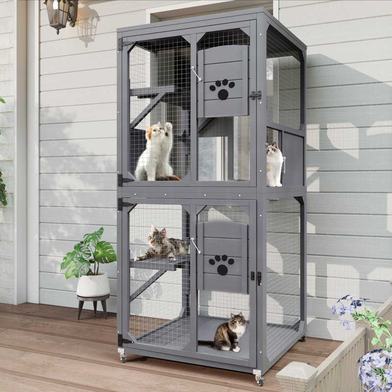 Fenêtre pour chat Catio