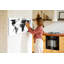 Map of the World Magnetic Wall Mounted Dry Erase Board
