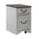 Allgaier 15'' Wide 2 -Drawer Mobile Solid Wood File Cabinet