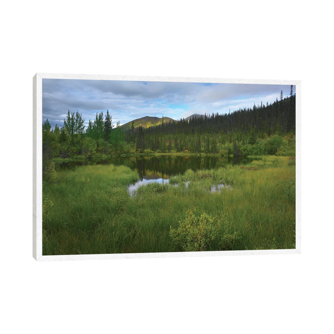 Boreal Forest With Pond And Antimony Mountain In The Background Ogilvie Mountains Yukon Territory CA von Tim Fitzharris ...