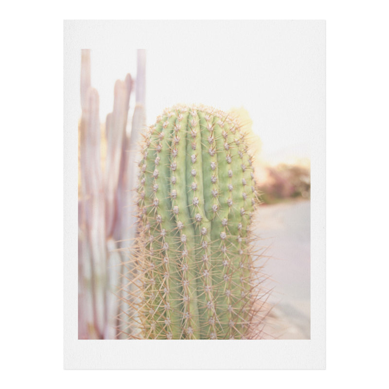 « ethereal épiphytes ii », reproduction de photo, H 20 po x l 16 po x P 2 po, Papier, Blanc