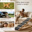 Rampe pour chien-439011865