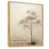 Natural Floater Framed
