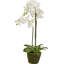 80cm Faux Plant in Cement Pot Liner