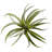 8'' Faux Succulent Plant