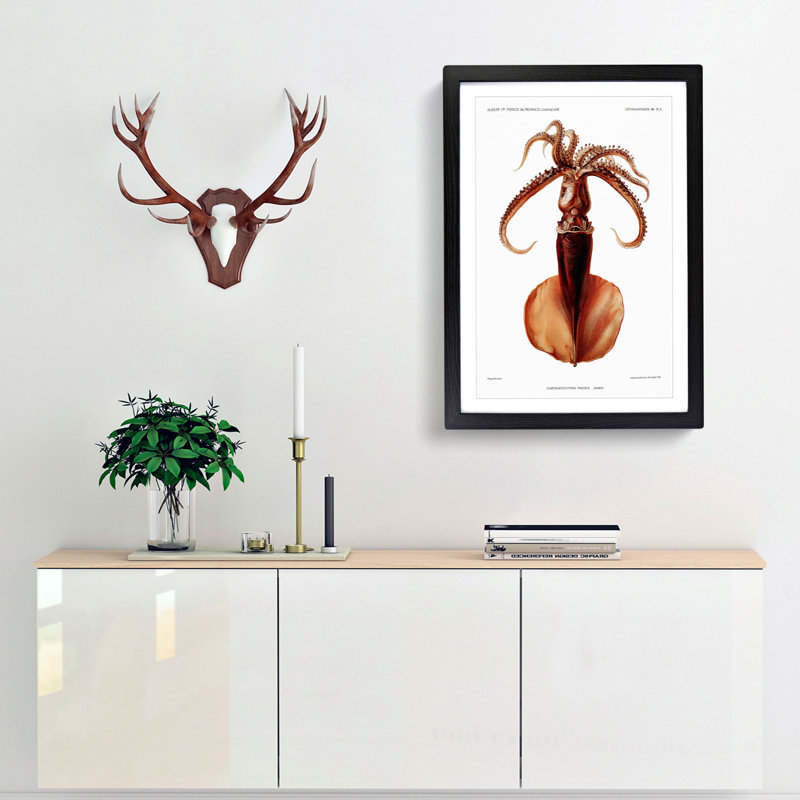Squid Illustration by Albert I - Framed Print, 48cm H x 36cm W x 2cm D, Black Framed