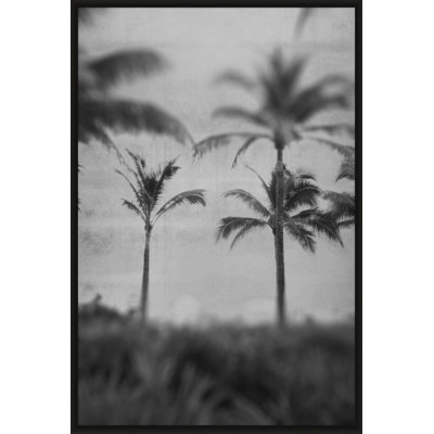 Silver Palms 2' Framed Photographic Print