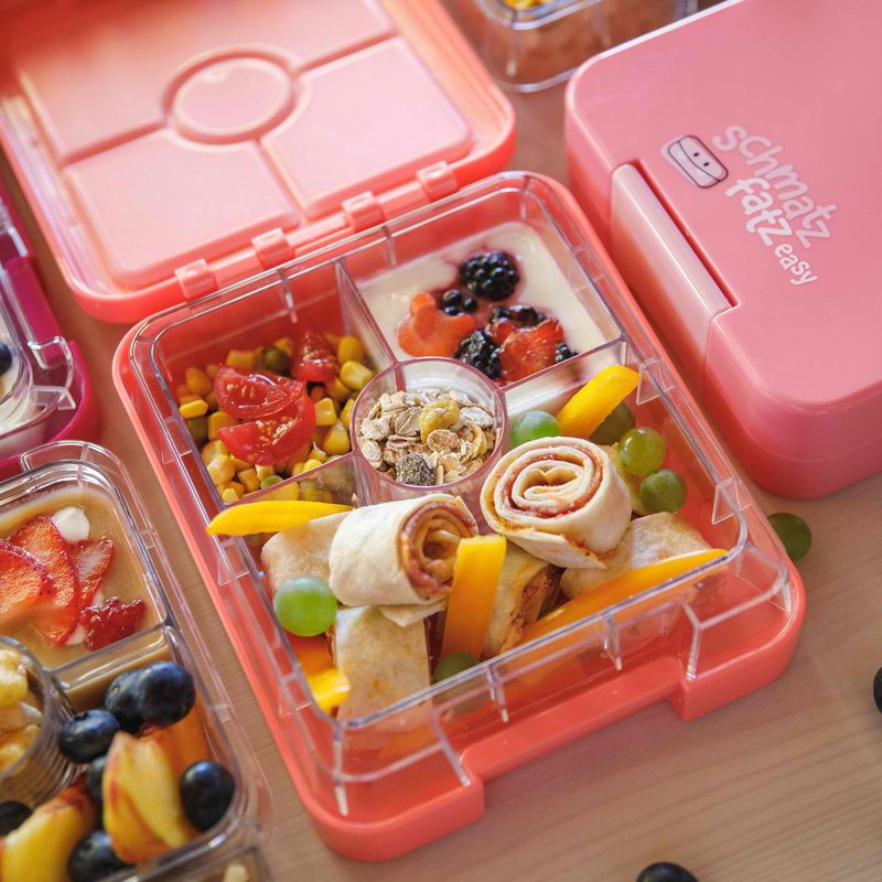 Food Storage Container, Coral