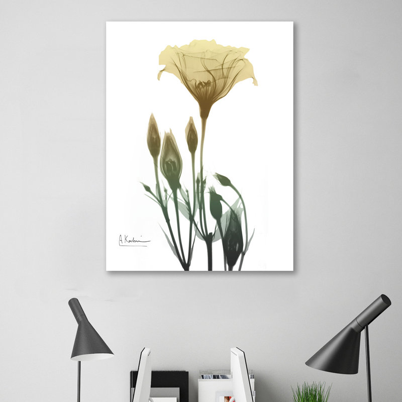 Ocre Bloom 2 - Wrapped Canvas Print, 122 cm H x 91 cm W