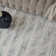 Carmel Modern Abstract Cream/Navy Area Rug