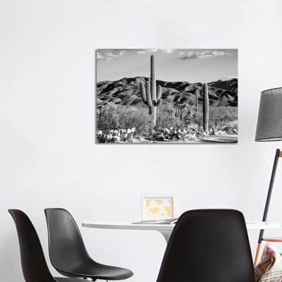 Black Arizona Series - Tucson Desert Cactus 1 Piece Wrapped Canvas Wall Art
