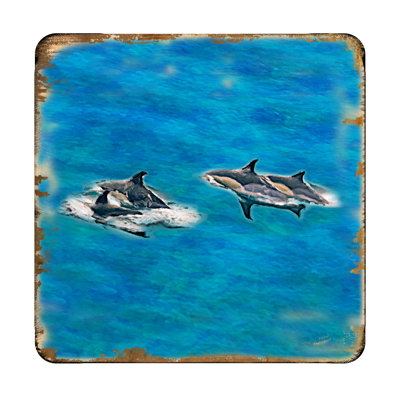 Wood Square 4 Piece Coaster Set
