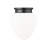 Jevone Glass Flush Mount-805576597-805576596