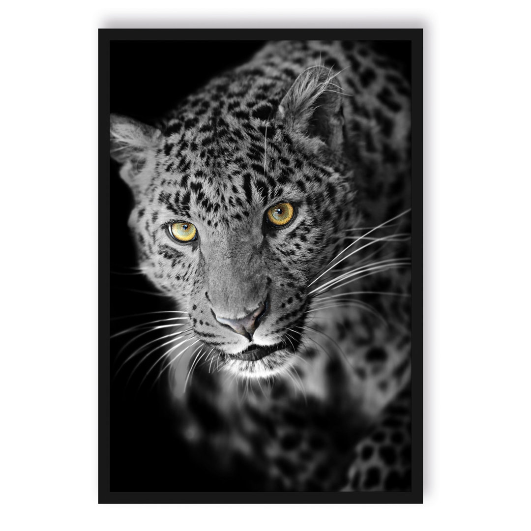 Gerahmtes Poster Prächtig Anmutiger Leopard