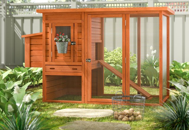 Chicken Coops in Every Size