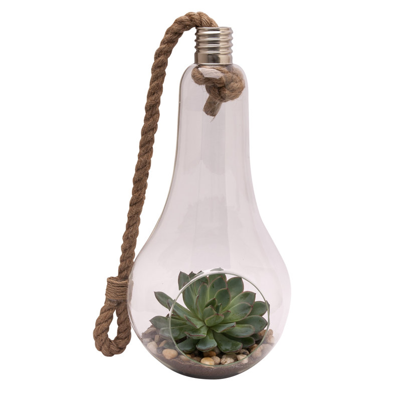 Garnica Glass Terrarium