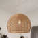 Suwannee Dimmable 1 - Light Unique/Statement Pendant