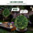 20" Set of 2 Artificial Boxwood Topiary Balls, Faux Greenery-1239434653