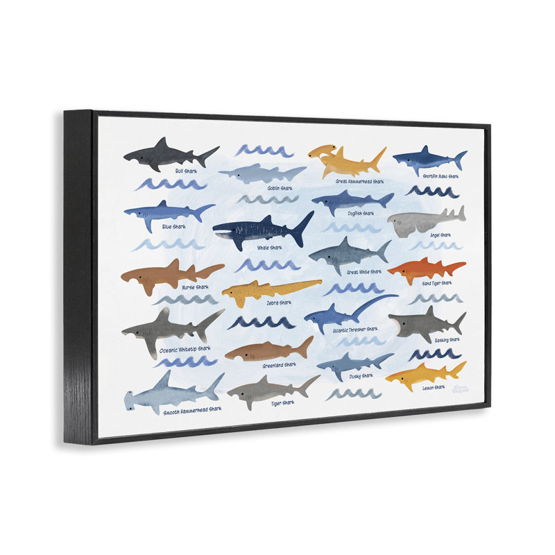 Various Shark Breeds Framed Giclee Art by Carrie Cantwell, Midnight Black Framed Giclee, 16" H x 24" W