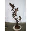 Statue bronze Huit perroquets debout sur un arbre de la collection Nifao 33 po x 24 po x H 66 po