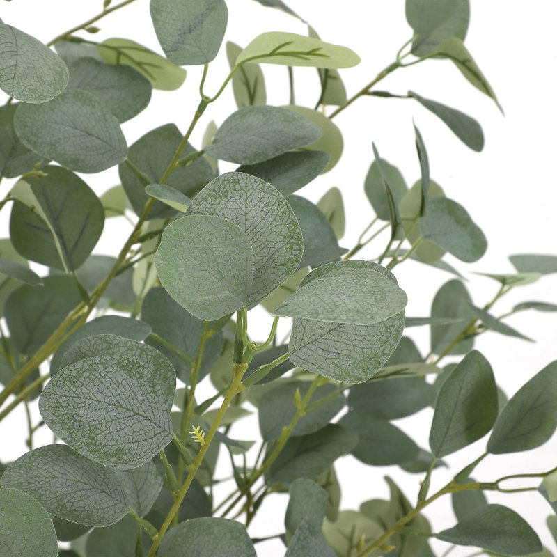 Eucalyptus Tree Artificial With Silver Dollar Leaves