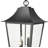 Ouen 5 Light Outdoor Chain Mount Ceiling Fixture in Black