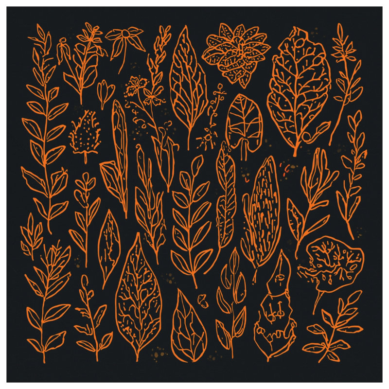 Édredon orange avec illustrations botaniques, Simple extra long
