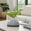 Vase de table Modern Modern-89109941
