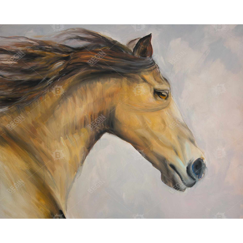 Fierté toile tendue - cheval gris | Crinière au vent